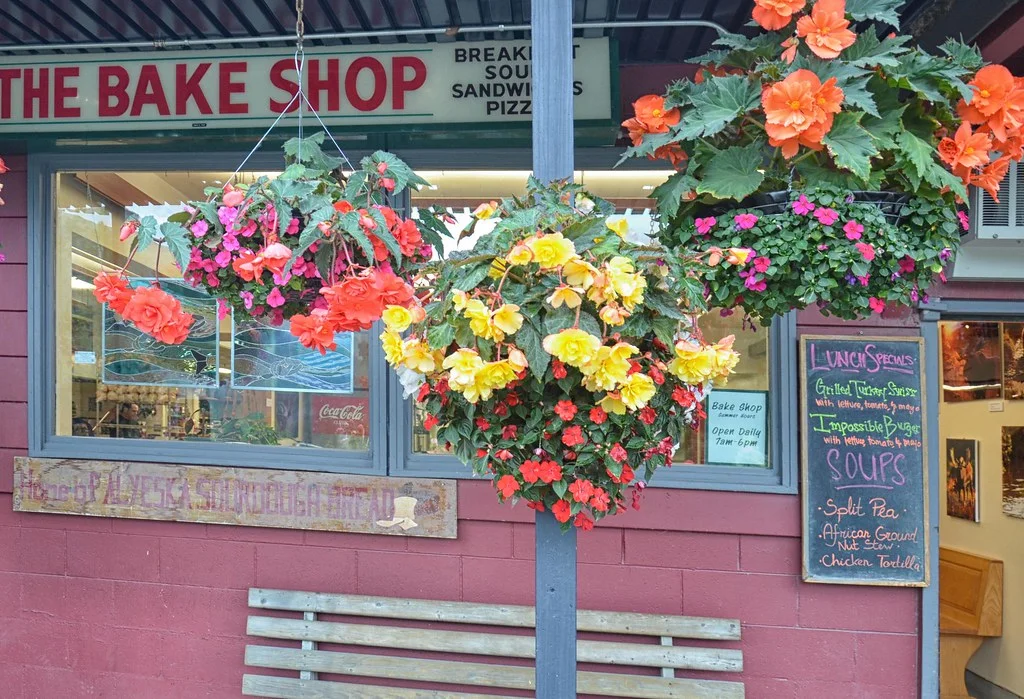 Girdwood Bake Shop Gallery Photo 12