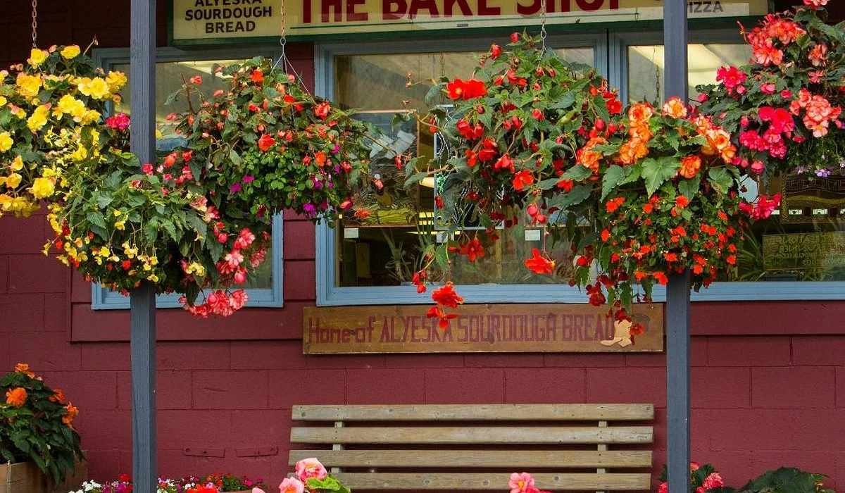 Girdwood Bake Shop Gallery Photo 14
