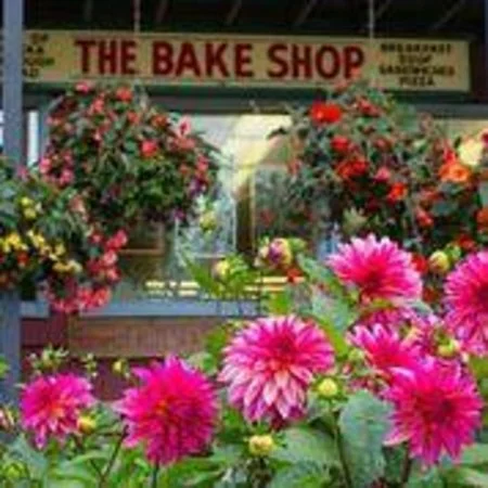 Girdwood Bake Shop Gallery Photo 15