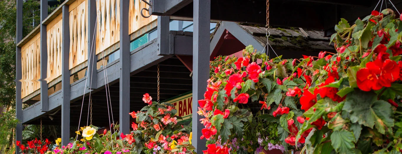 Inside The Bake Shop in Girdwood, Alaska