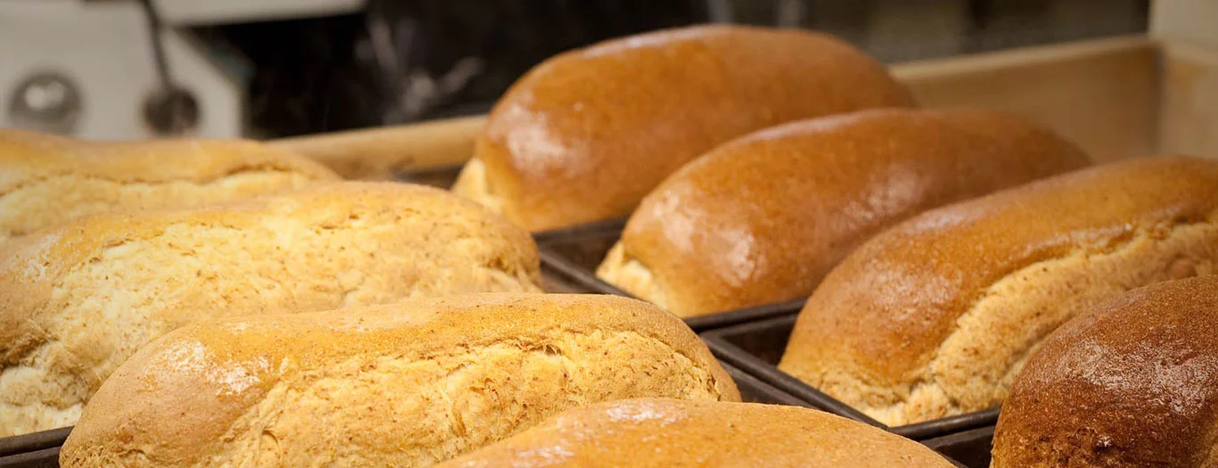 The Miner's Treasure