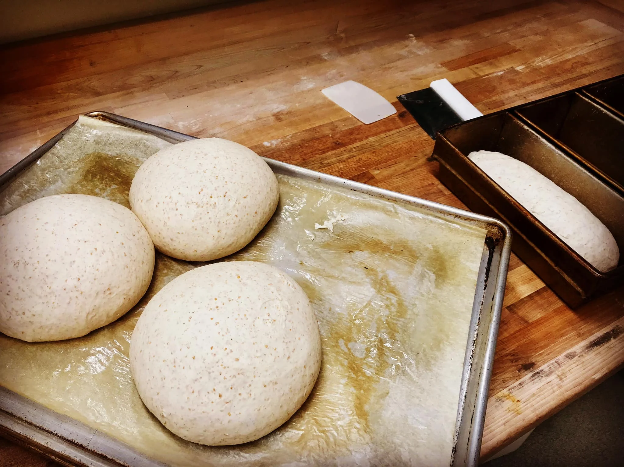 Alyeska sourdough loaves cooling on a rack